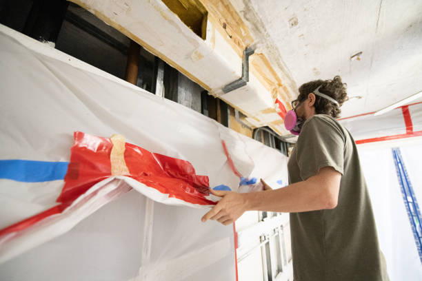 Best Mold Removal for HVAC Installations  in Spearman, TX