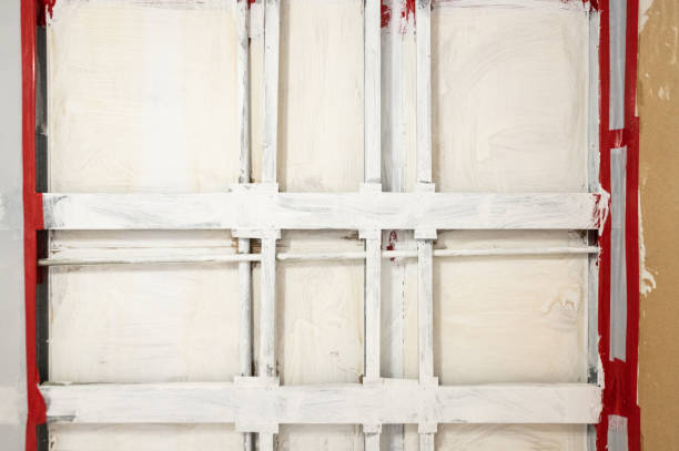 Best Commercial Mold Inspection  in Spearman, TX