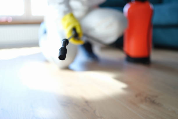 Best Emergency Mold Remediation  in Spearman, TX