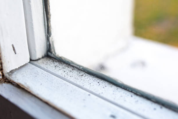 Mold Removal for HVAC Installations in Spearman, TX