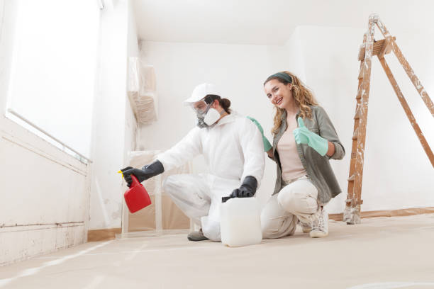  Spearman, TX Mold Removal Pros